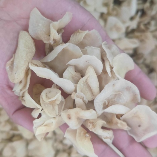 鲁山县东北白玉木耳干货批发赶集摆摊展销会跑江湖均可玉木耳可一件代发