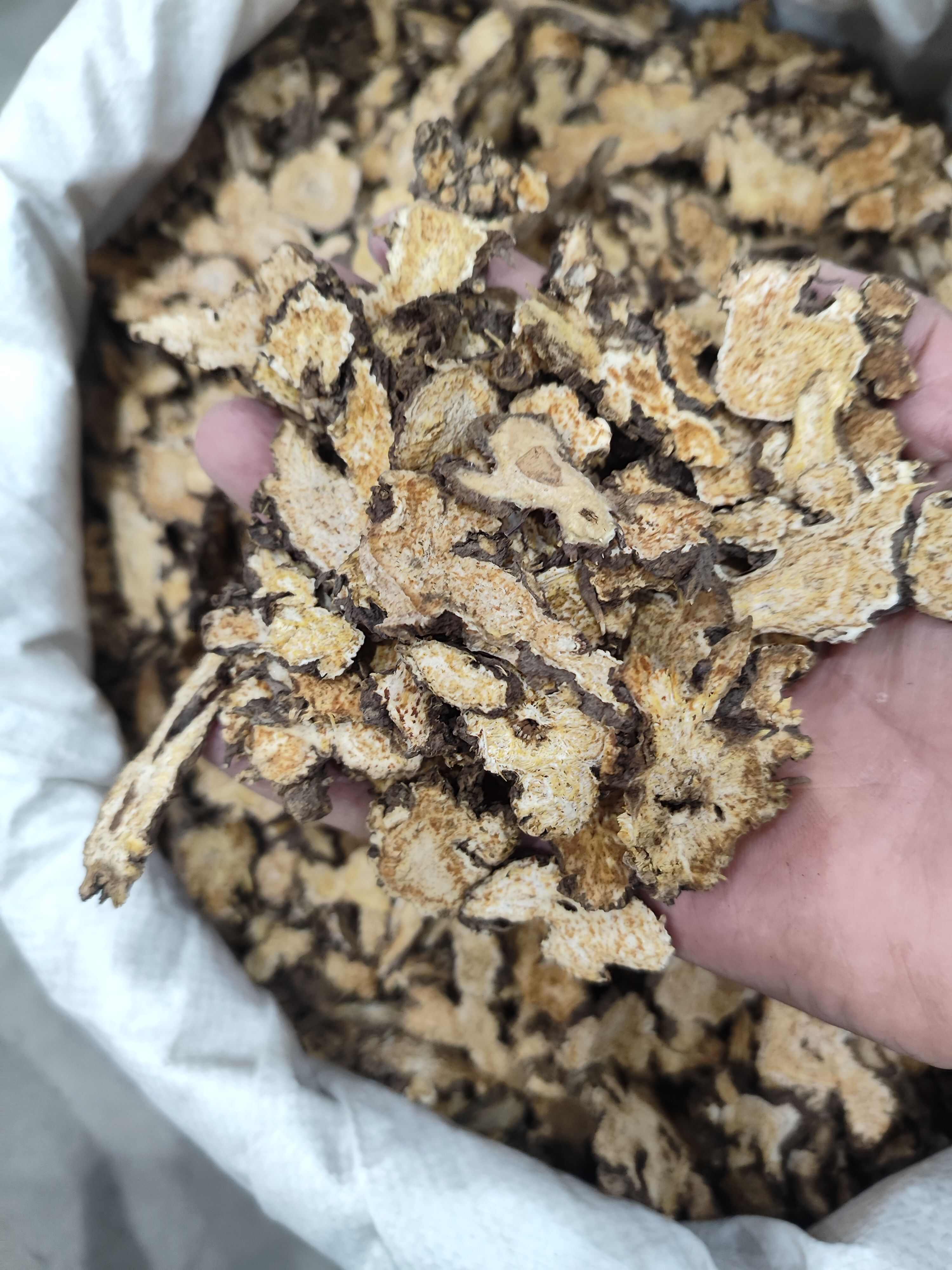 苍术 承德  东北  正品干货    家种  各种规格