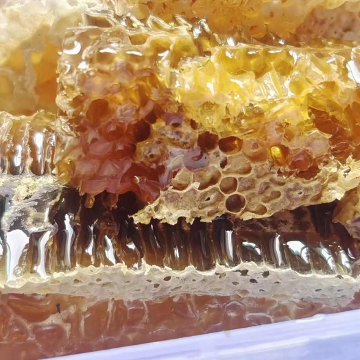 白河县高山人家百花蜜土蜂蜜
