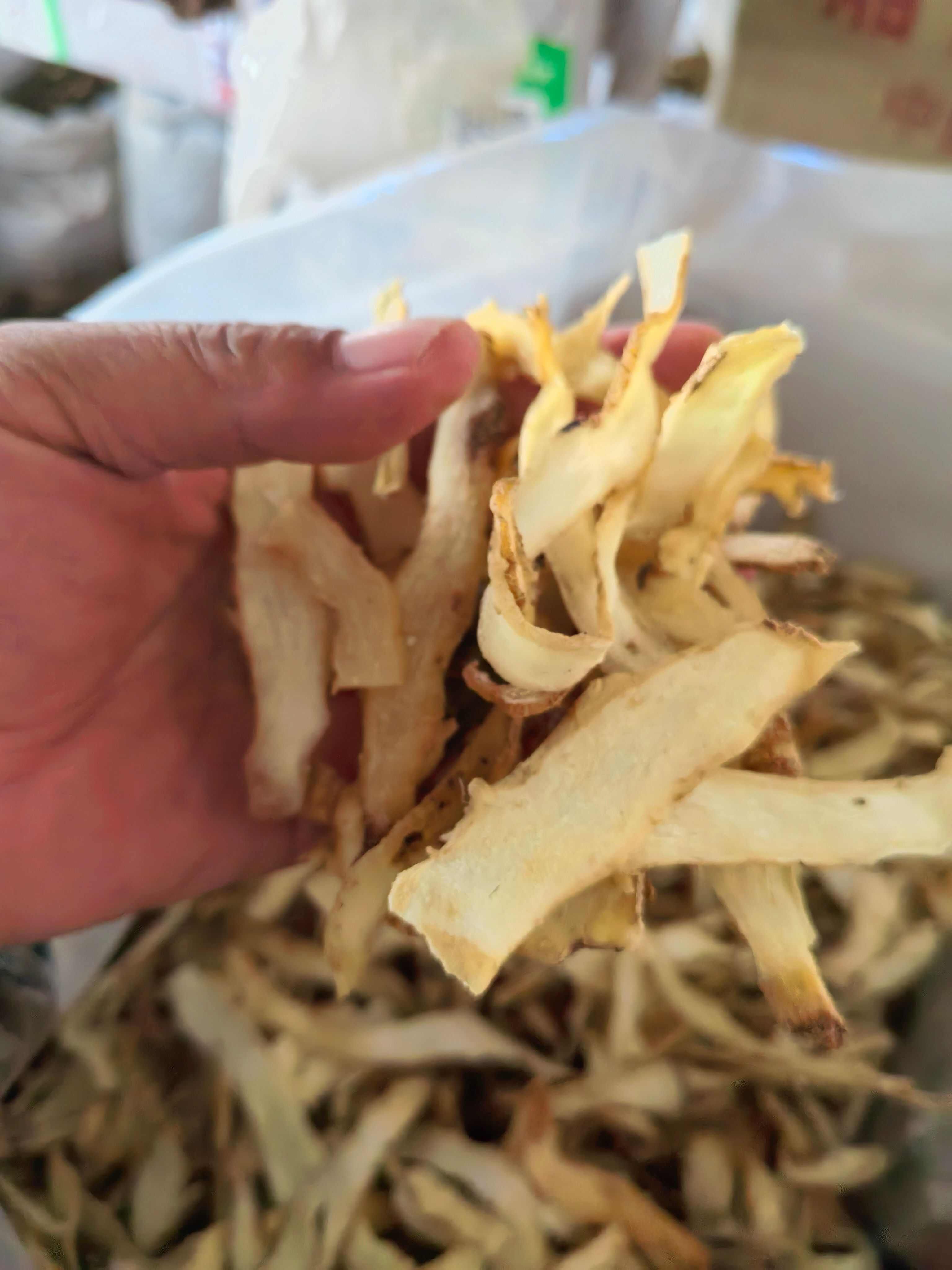 玉竹