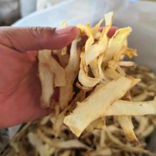 玉竹
