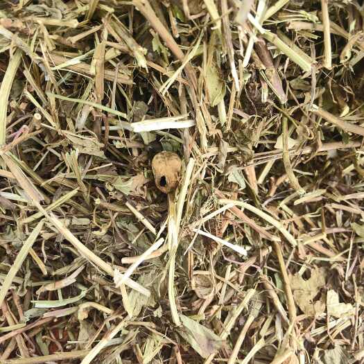 泌阳县花生秧牛羊草料