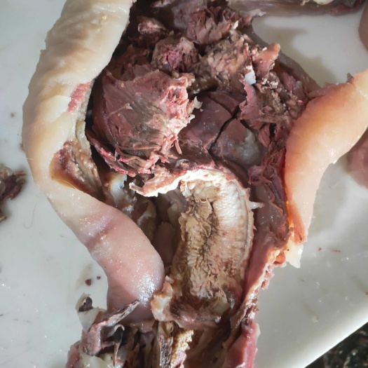 阳信县熟牛头肉源头厂家直销，