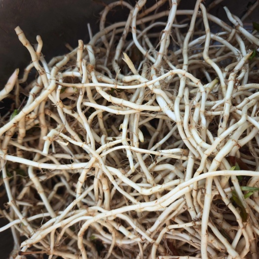 货源充足价格优势