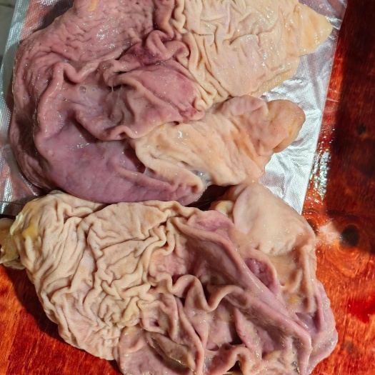 鲜猪肚，鲜舌子