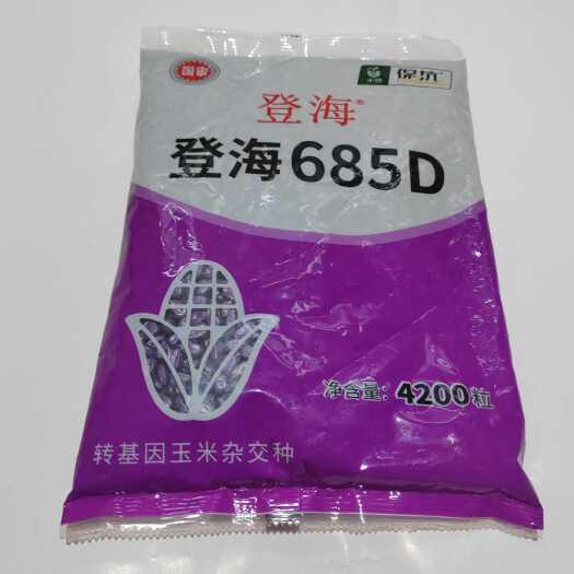 登海685D转基因玉米种双抗版