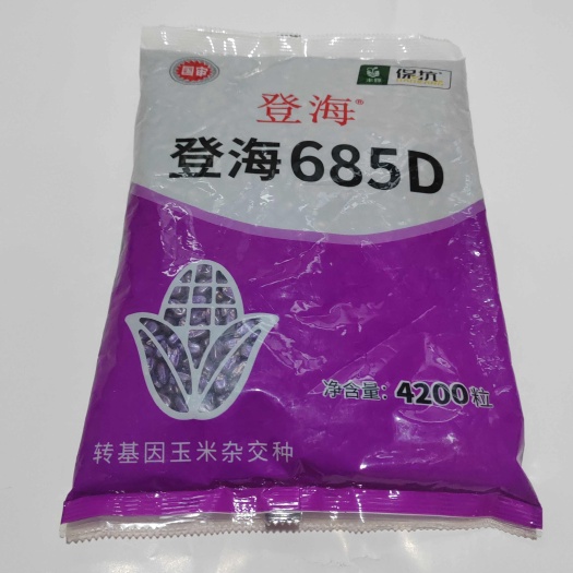 故城县登海685D转基因玉米种双抗版