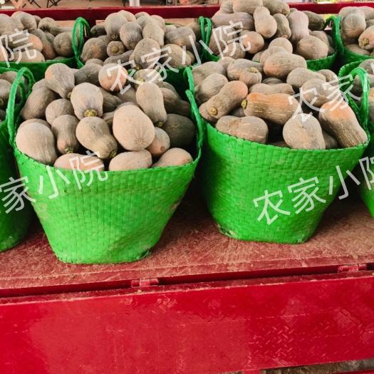 宁明县当季新鲜小金香南瓜花生南瓜软糯香甜老少皆宜基地直供现摘老南瓜