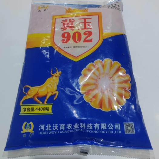 故城县冀玉902玉米种国审红轴大穗抗倒抗病产量高量大从优
