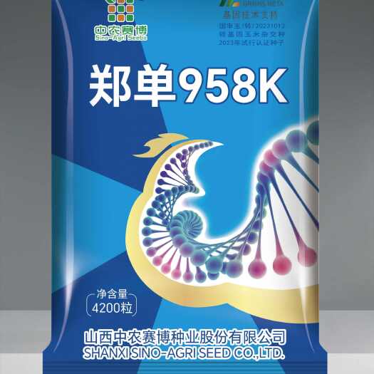 郑单958k转基因玉米种子