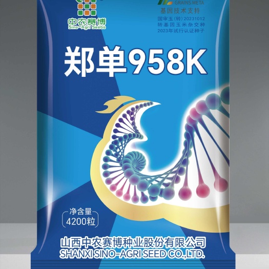 故城县郑单958k转基因玉米种子