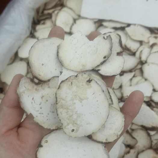 重楼片重楼个规格多货品齐符合药典标准需要的老板详谈