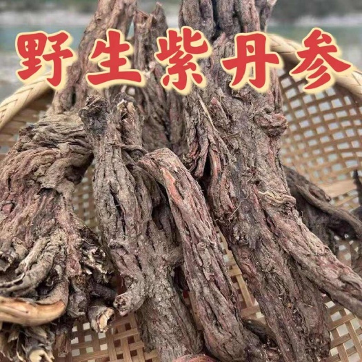 小金县藏区高海拔地区十年以上紫丹参无熏无硫自然晒干一手货源新货