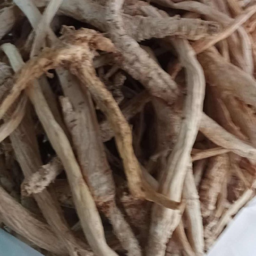 贵阳南沙参