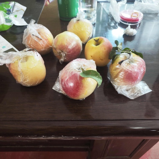 苹果，鲁丽、华硕、红富士。预售