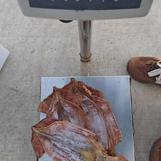 贵阳秘鲁鱿鱼干带皮水发专用，全淡干，规格齐全，欢迎咨询批发。