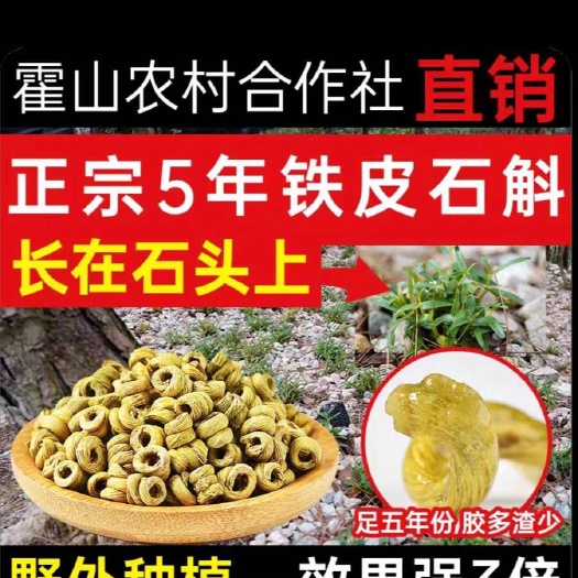 亳州石斛