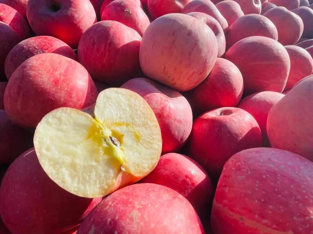 红富士苹果常年供应 脆甜多汁 新鲜水果批发冰糖心苹果