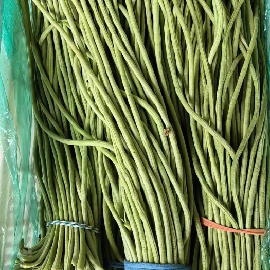 缸豆角