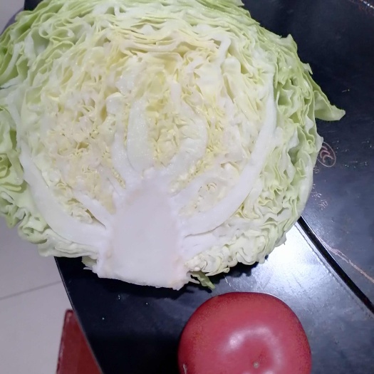 滑县寿甘101，优质精品甘蓝