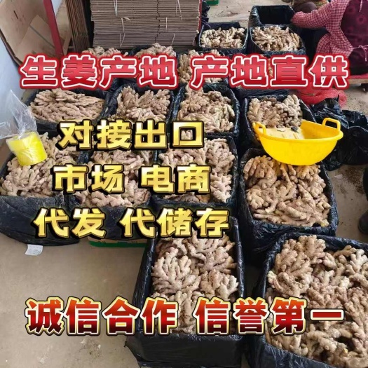 《云南小黄姜》小黄姜 味道足 版型好，干净无泥 货源稳定