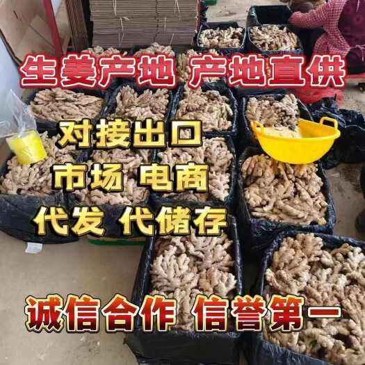 文山市《云南小黄姜》小黄姜 味道足 版型好，干净无泥 货源稳定