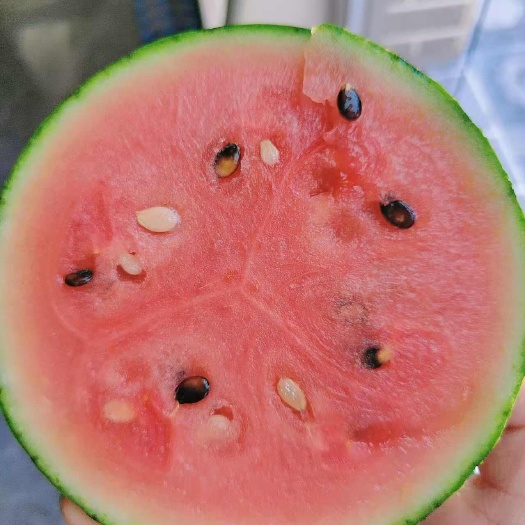 西瓜