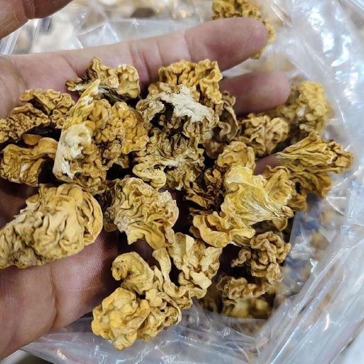 成都金耳一吨货价特