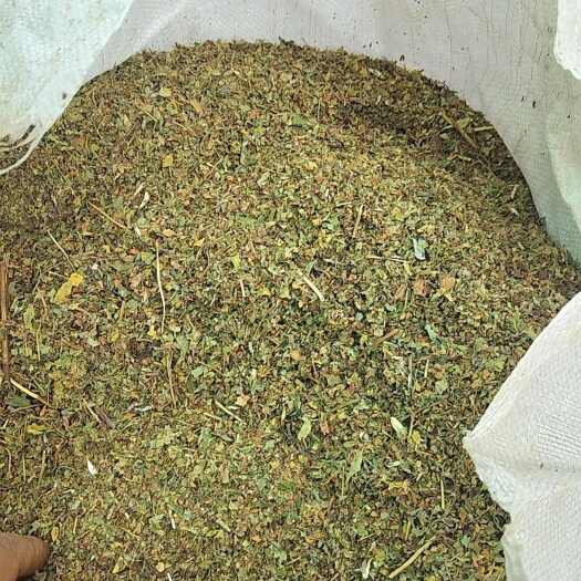 鲁甸县荞麦康