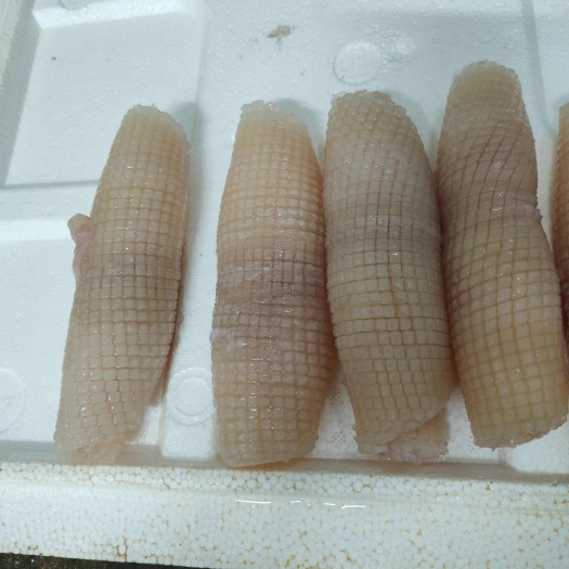 山西鱿鱼花优质水产软体类食材