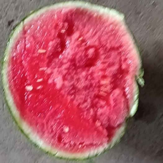 蒲城县吊西瓜
