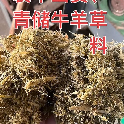 优质青储草 牛羊马通用饲料 批发供应 青储最后余货