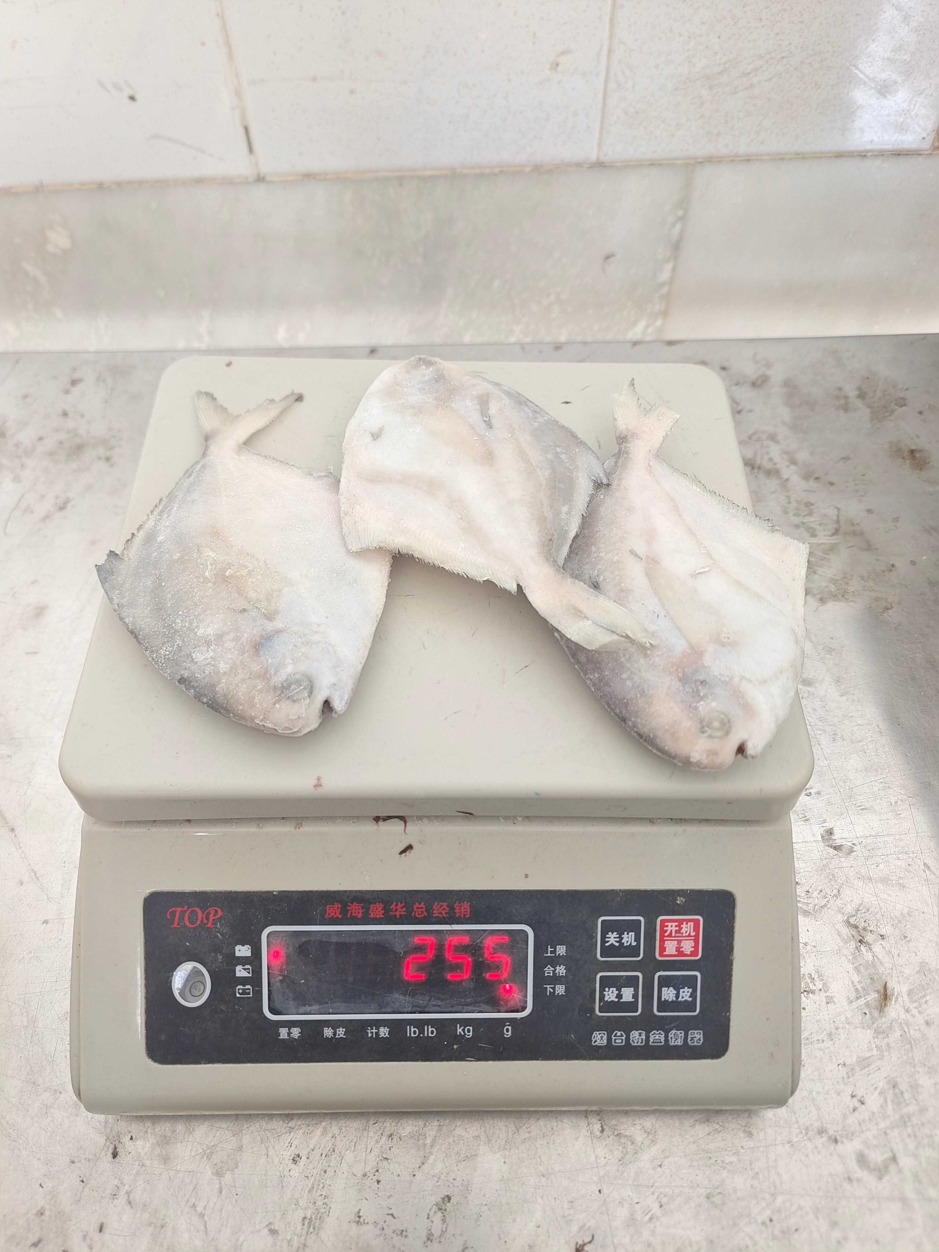 山东威海单冻银鲳鱼70-90g小鲳鱼库存1000件