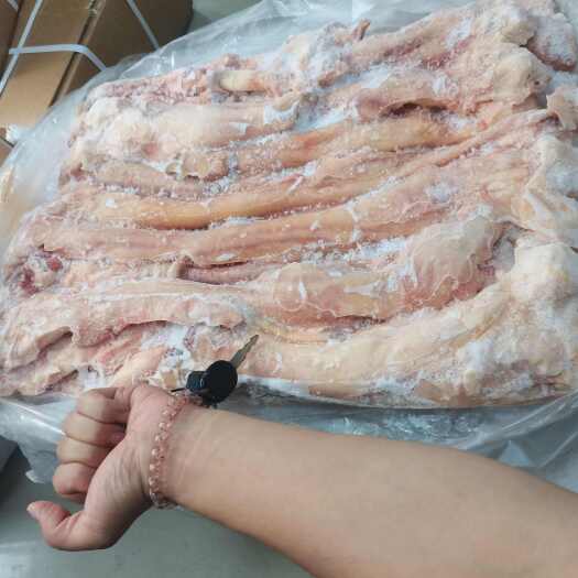 郑州牛蹄筋（主筋）用我的手臂作为参照物