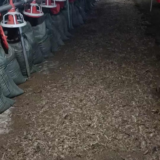 扬州鸡粪   稻壳鸡粪