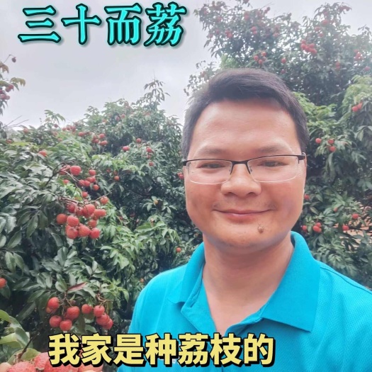 高州市一件代发，高州荔枝，荔枝园直发，自产自销果园直达一手货源
