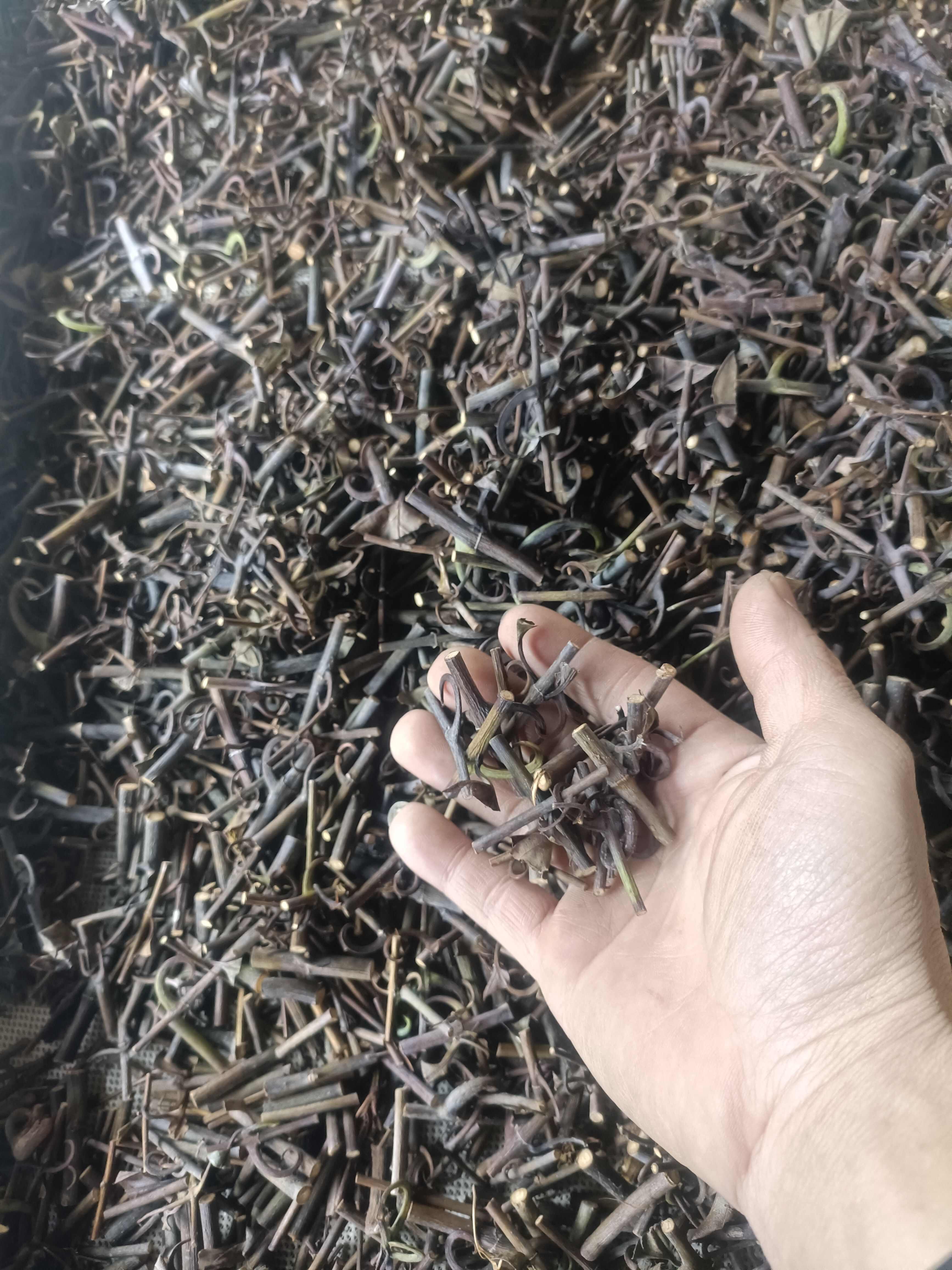 钩藤中药材 批发优质藤木类药材 来自贵州三都产地直销