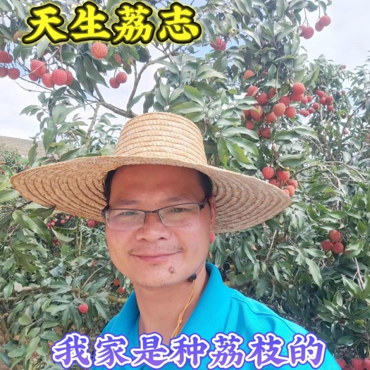 高州市高州荔枝白糖罂荔枝，自家果园一件代发寻电商合作