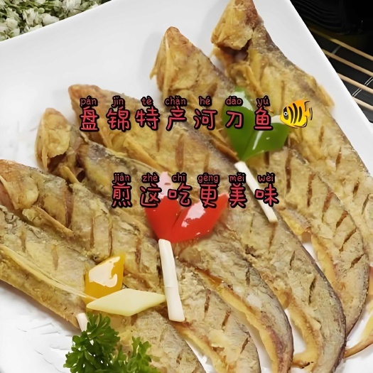 盘锦盘锦辽河刀鱼3斤2两半