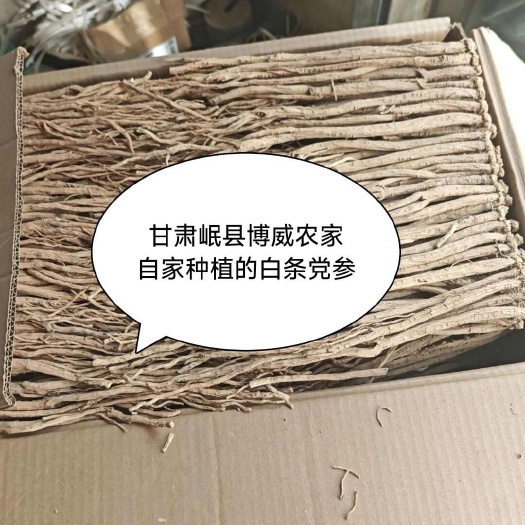 岷县甘肃岷县白条党参岷县原产地发货无硫无染色（买党参送枸杞）