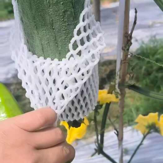 尤溪县丝瓜，条条精品。产地在尤溪，量大。有好价格的来一个