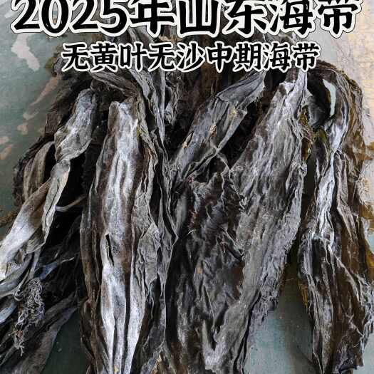 荣成市2025年新山东晒干海带特干海带全国发货跑江湖农贸市场