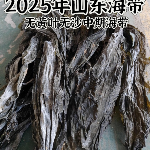 2025年新山东晒干海带特干海带全国发货跑江湖农贸市场