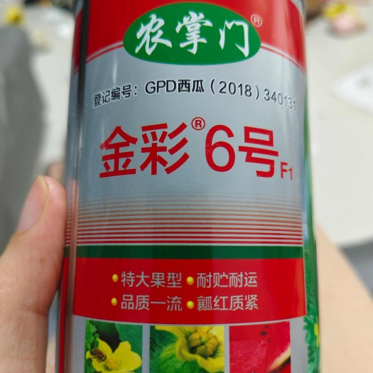 金彩6号西瓜种子 大果硒砂瓜特耐旱中熟皮薄大红瓤原装700粒