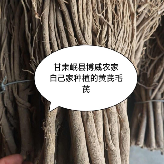 甘肃岷县无硫黄芪条毛芪批发价包邮无染色支持检测（买黄芪送枸杞