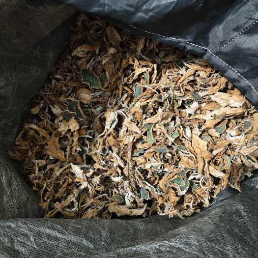 靖西市［正品］石上莲干品（不带根）干净自然晒干