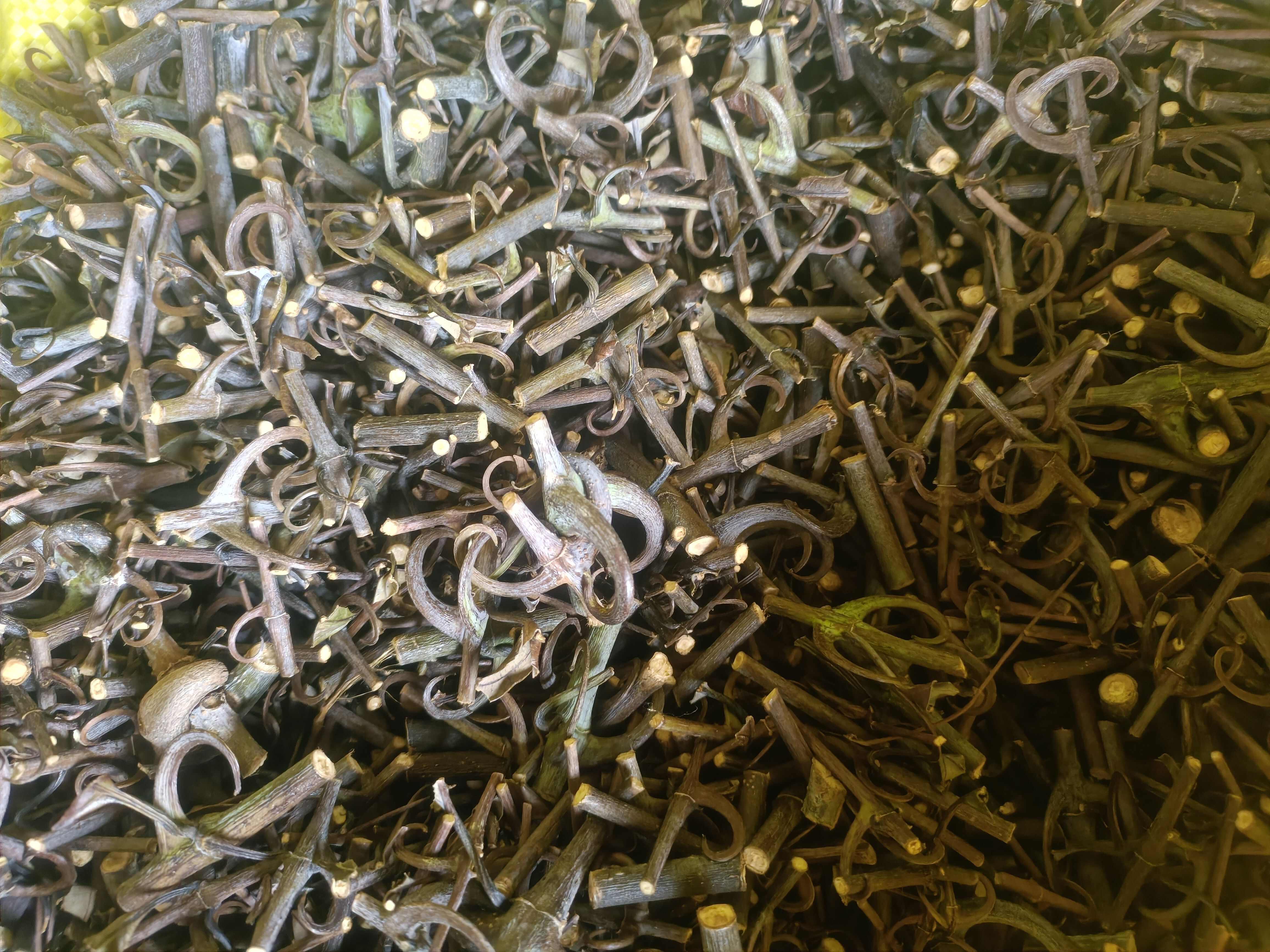 钩藤中药材 批发优质藤木类药材 来自贵州三都产地直销