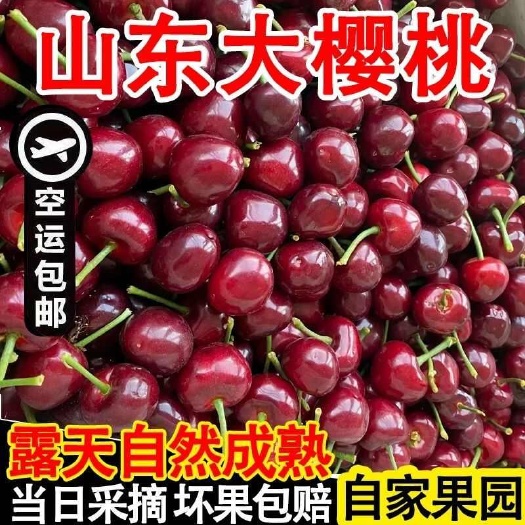 烟台【航空冷链运输】山东烟台大樱桃车厘子新鲜应季水果脆酸甜多汁