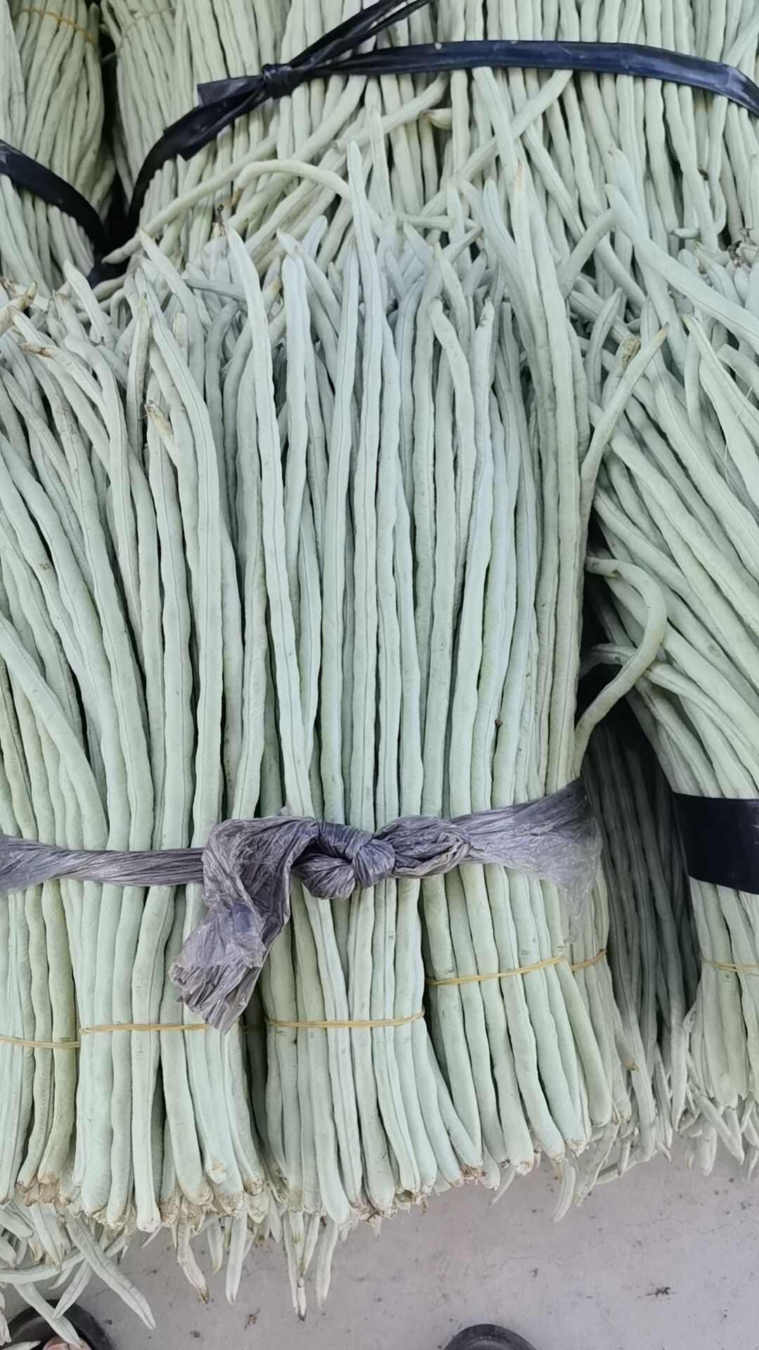 白豆大量上市！！！