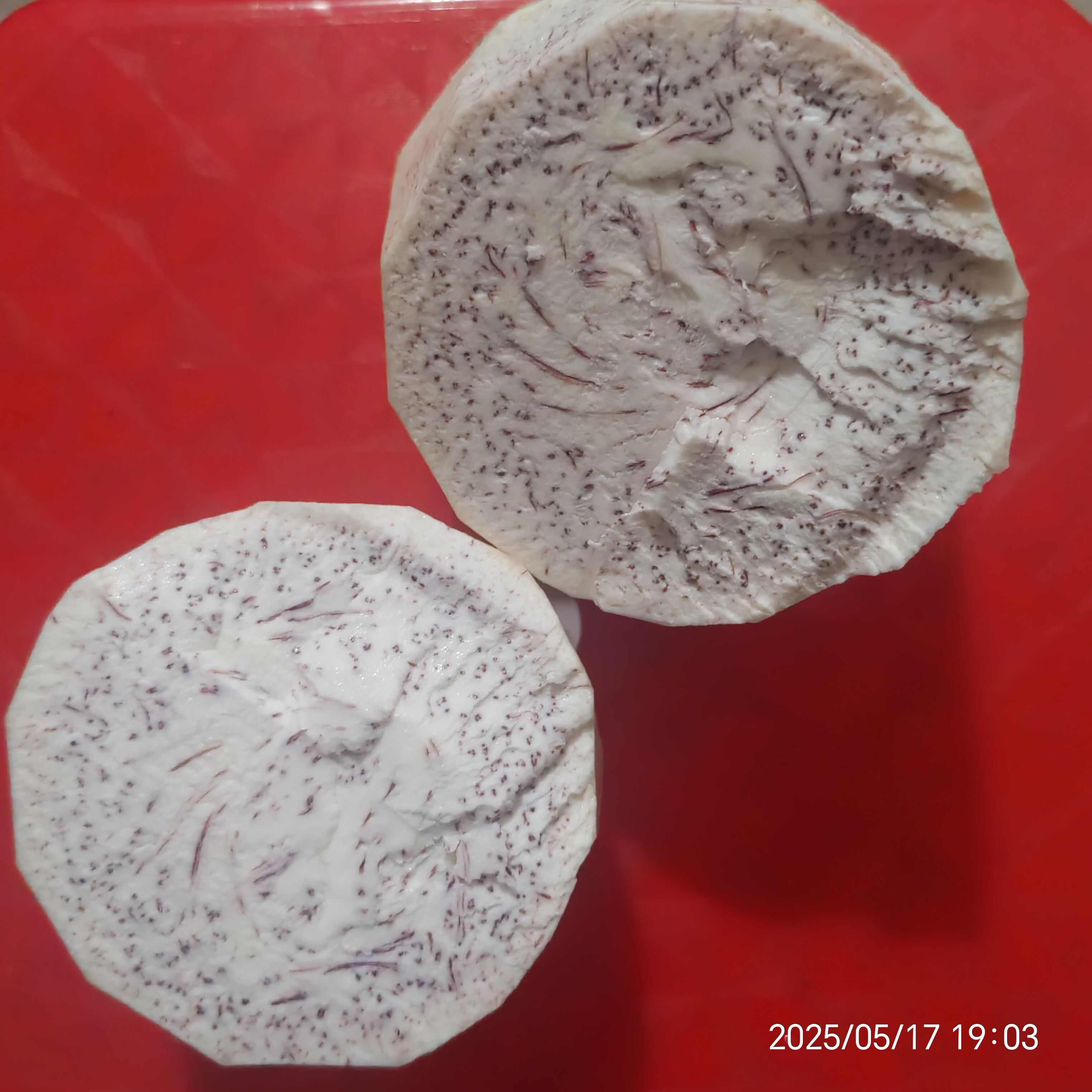 广西荔浦芋头香糯粉芋头槟榔芋单个重1.5斤到2斤